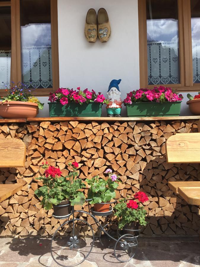 B&B Solder Chalet Dolomiti Sappada Extérieur photo